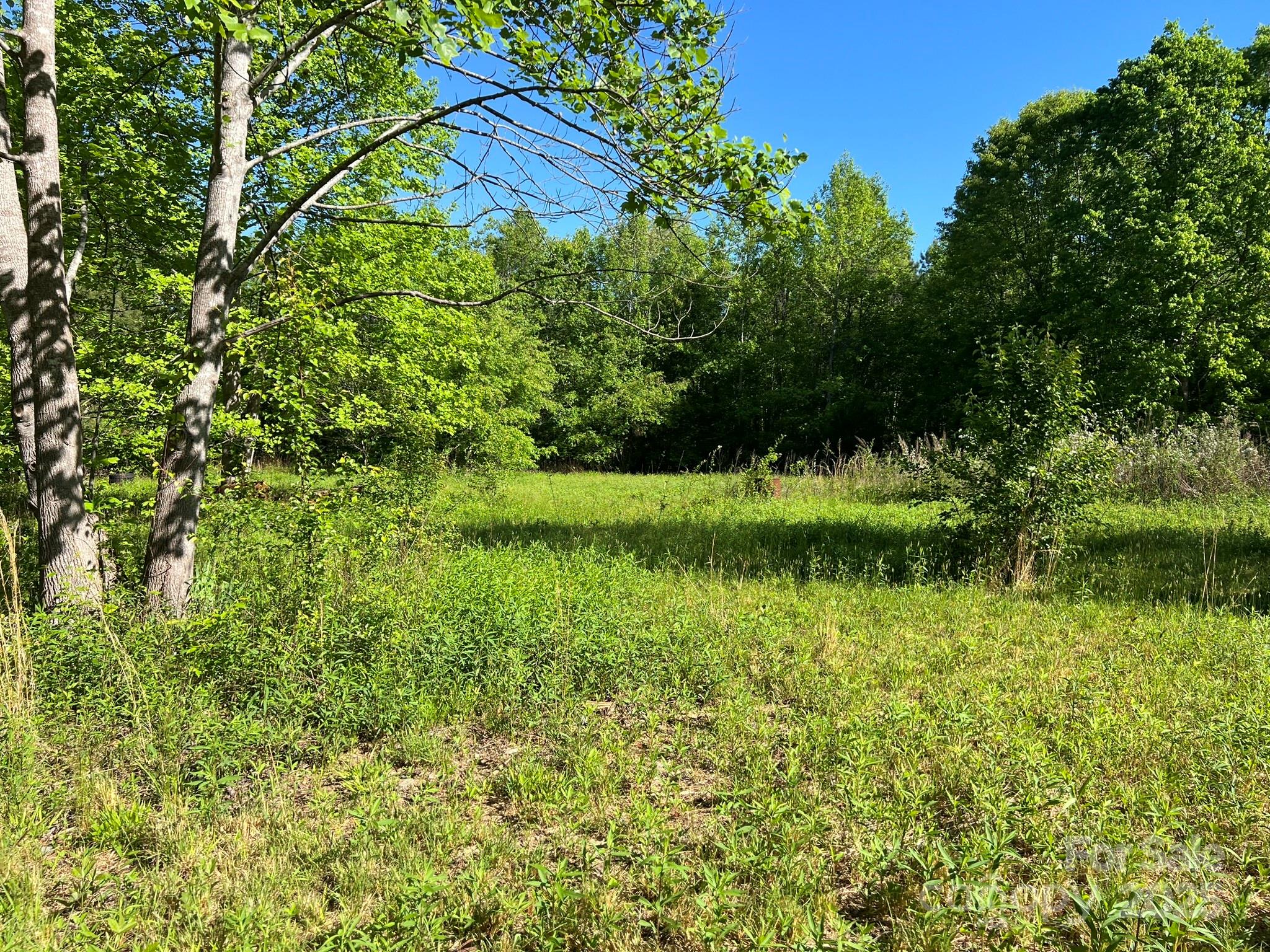 778 Walker Road Nebo, NC 28761 - Photo 12 of 44 Gallery Image 12