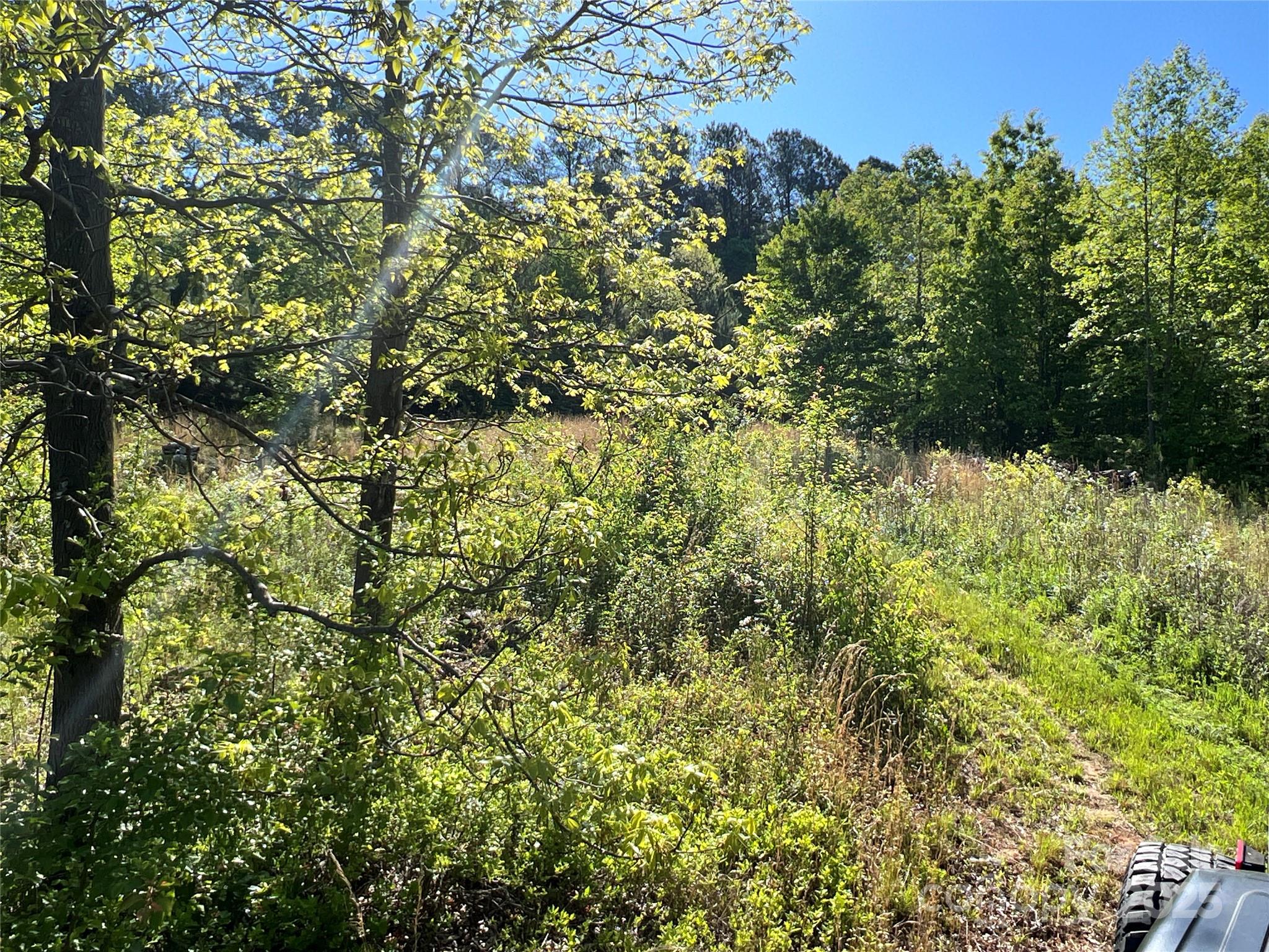 778 Walker Road Nebo, NC 28761 - Photo 23 of 44 Gallery Image 23