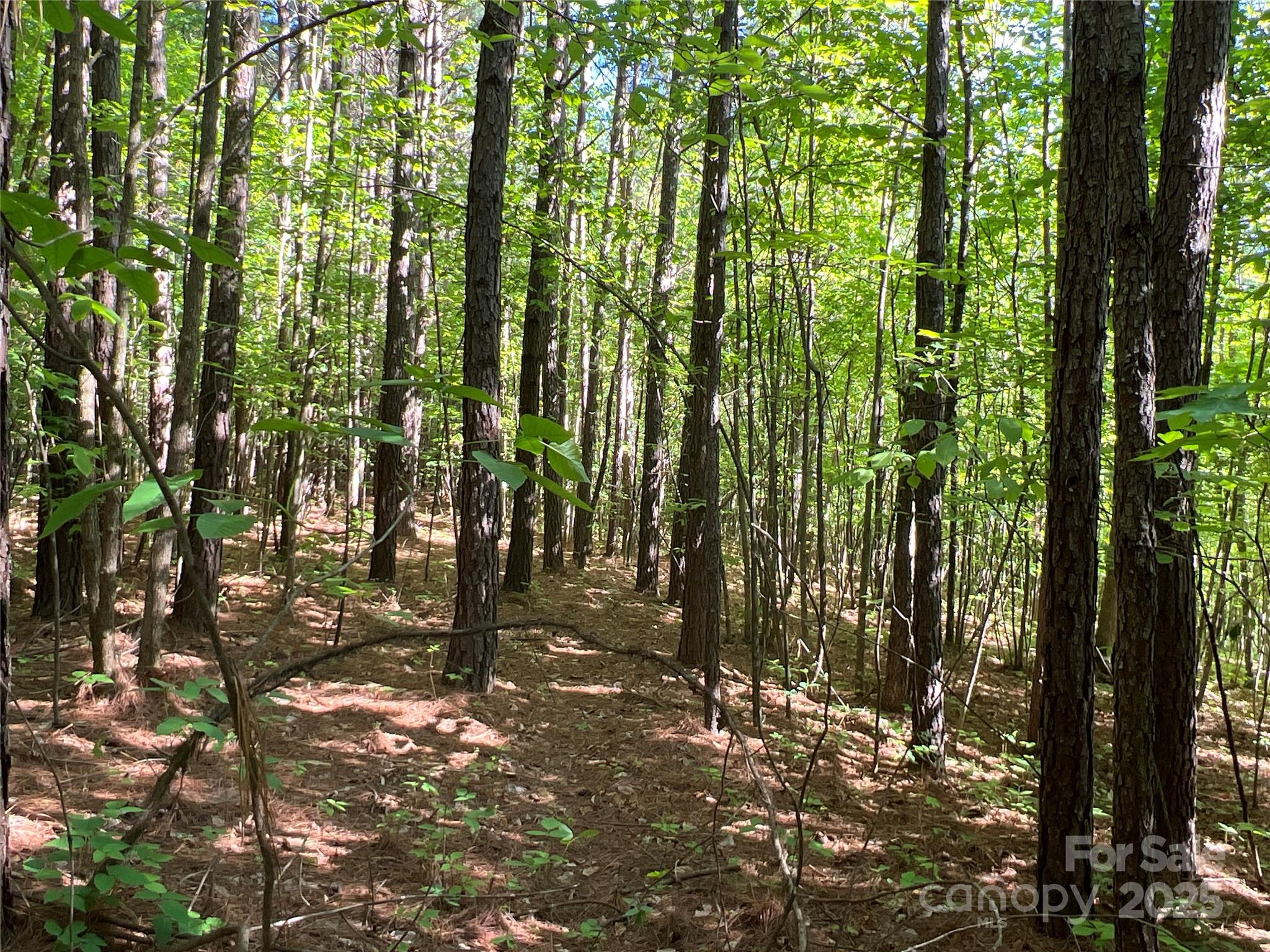 778 Walker Road Nebo, NC 28761 - Photo 29 of 44 Gallery Image 29