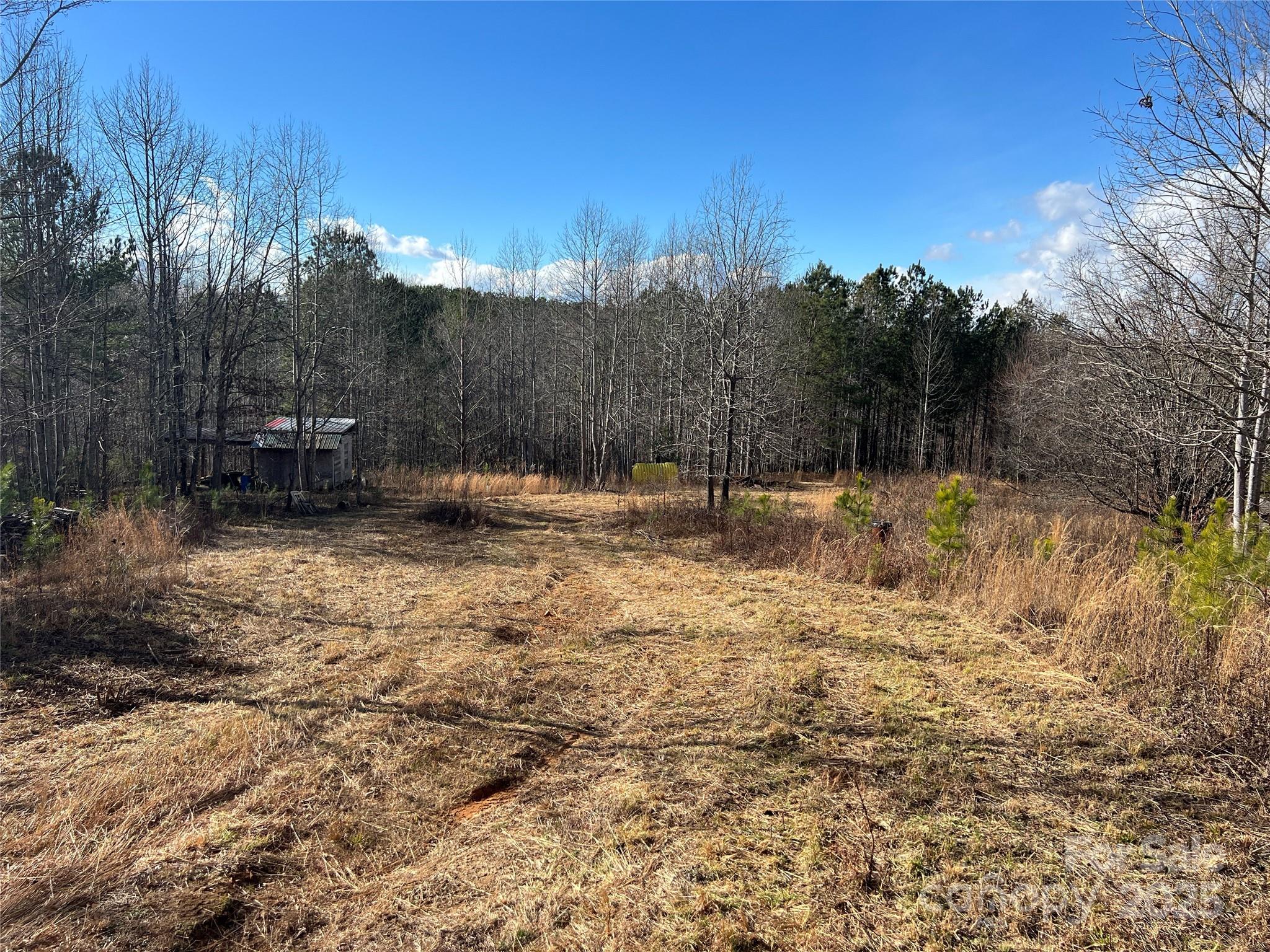 778 Walker Road Nebo, NC 28761 - Photo 3 of 44 Gallery Image 3