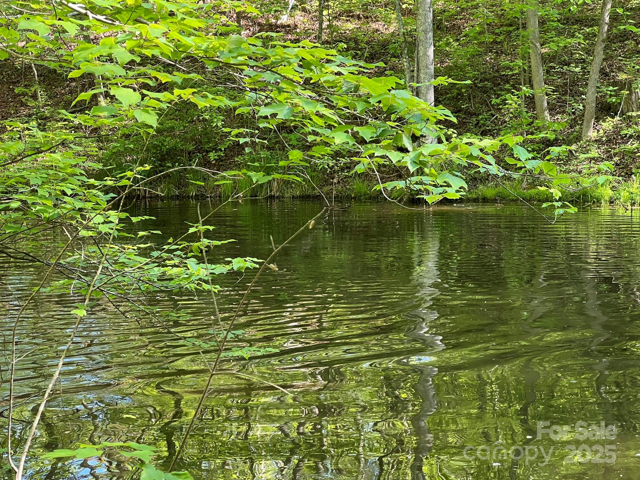778 Walker Road Nebo, NC 28761 - Photo 36 of 44 Gallery Image 36