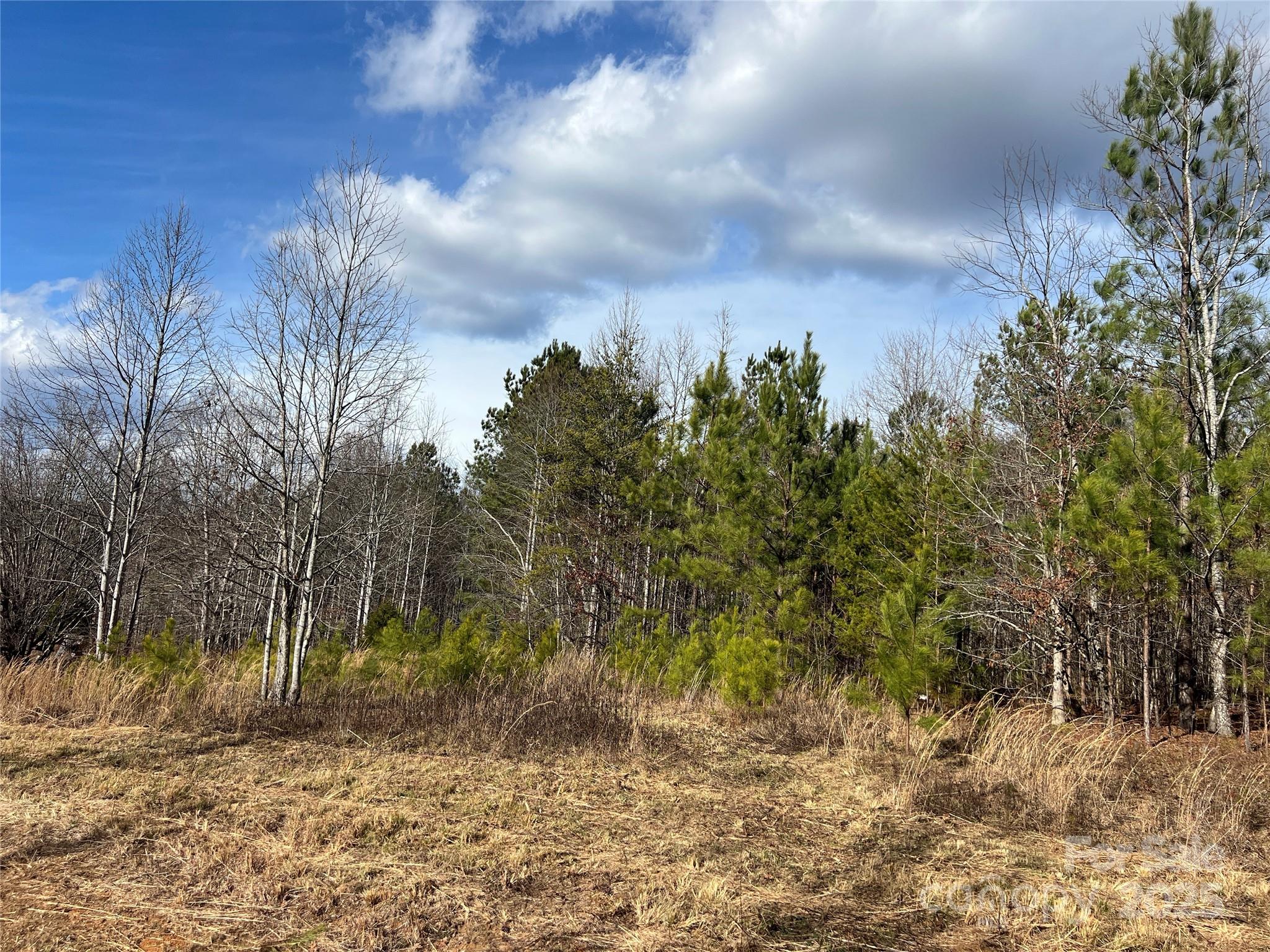 778 Walker Road Nebo, NC 28761 - Photo 4 of 44 Gallery Image 4