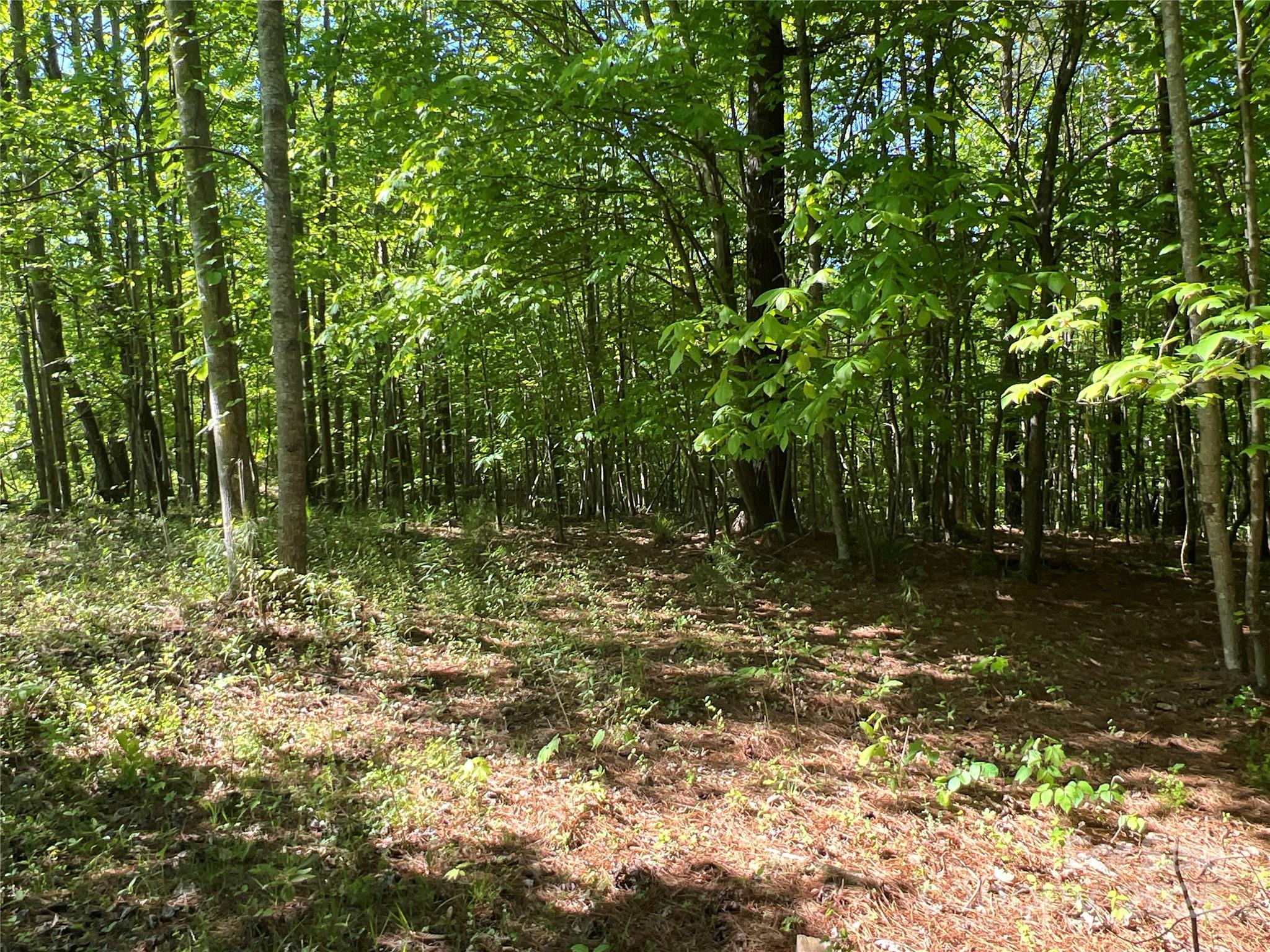 778 Walker Road Nebo, NC 28761 - Photo 41 of 44 Gallery Image 41