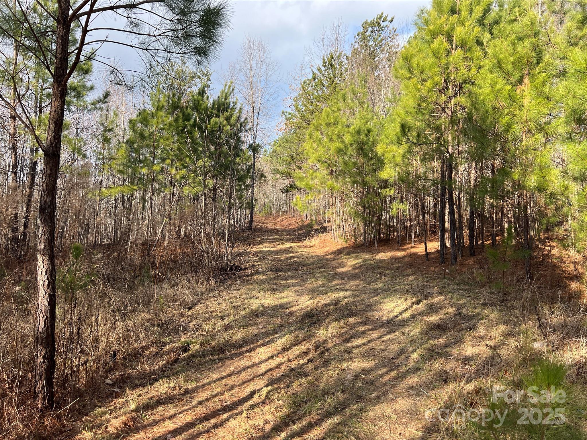 778 Walker Road Nebo, NC 28761 - Photo 6 of 44 Gallery Image 6