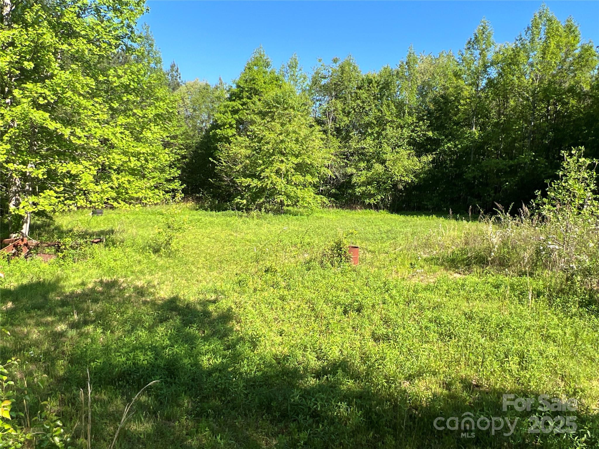 778 Walker Road Nebo, NC 28761 - Photo 8 of 44 Gallery Image 8