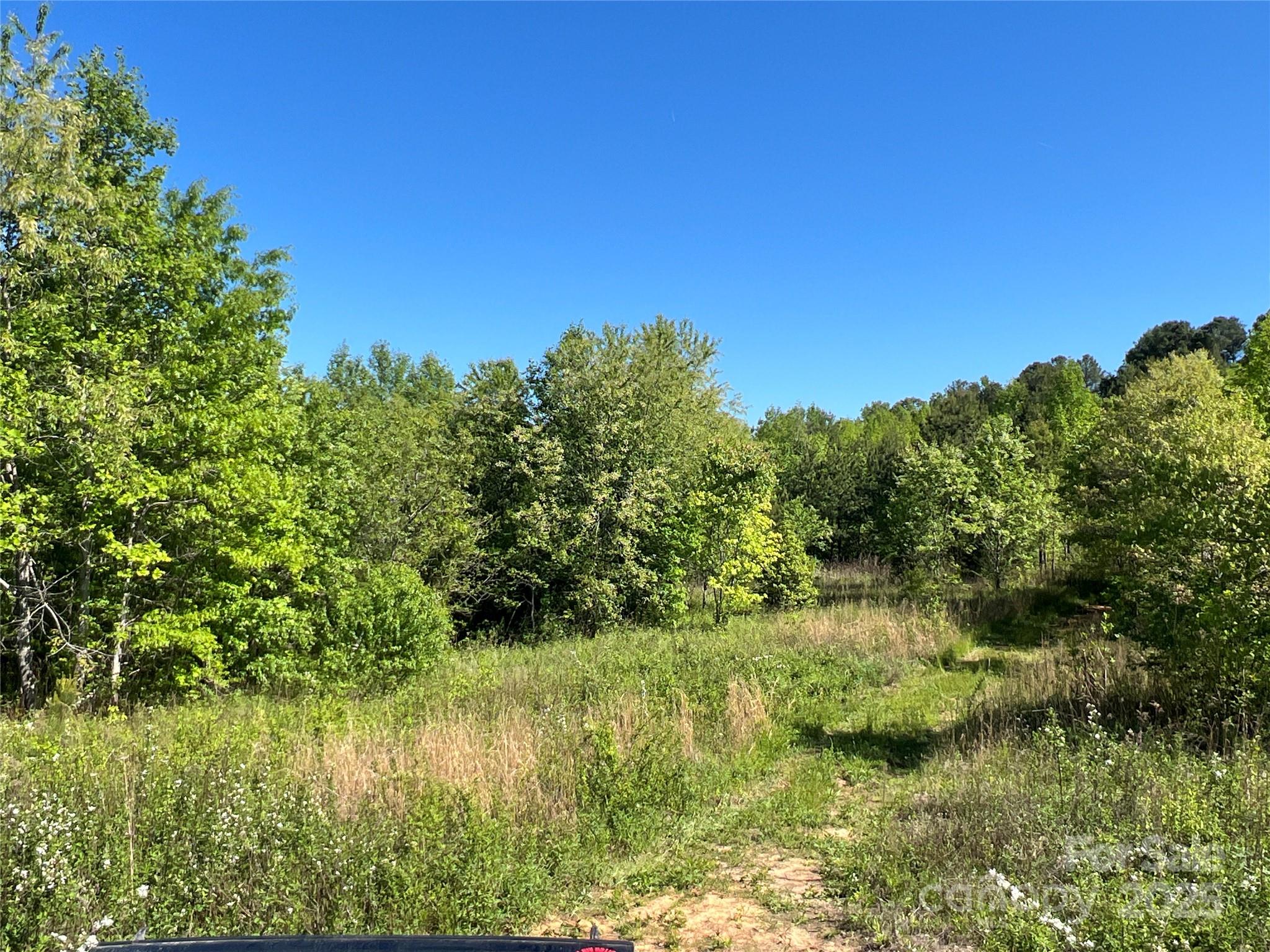 778 Walker Road Nebo, NC 28761 - Photo 9 of 44 Gallery Image 9