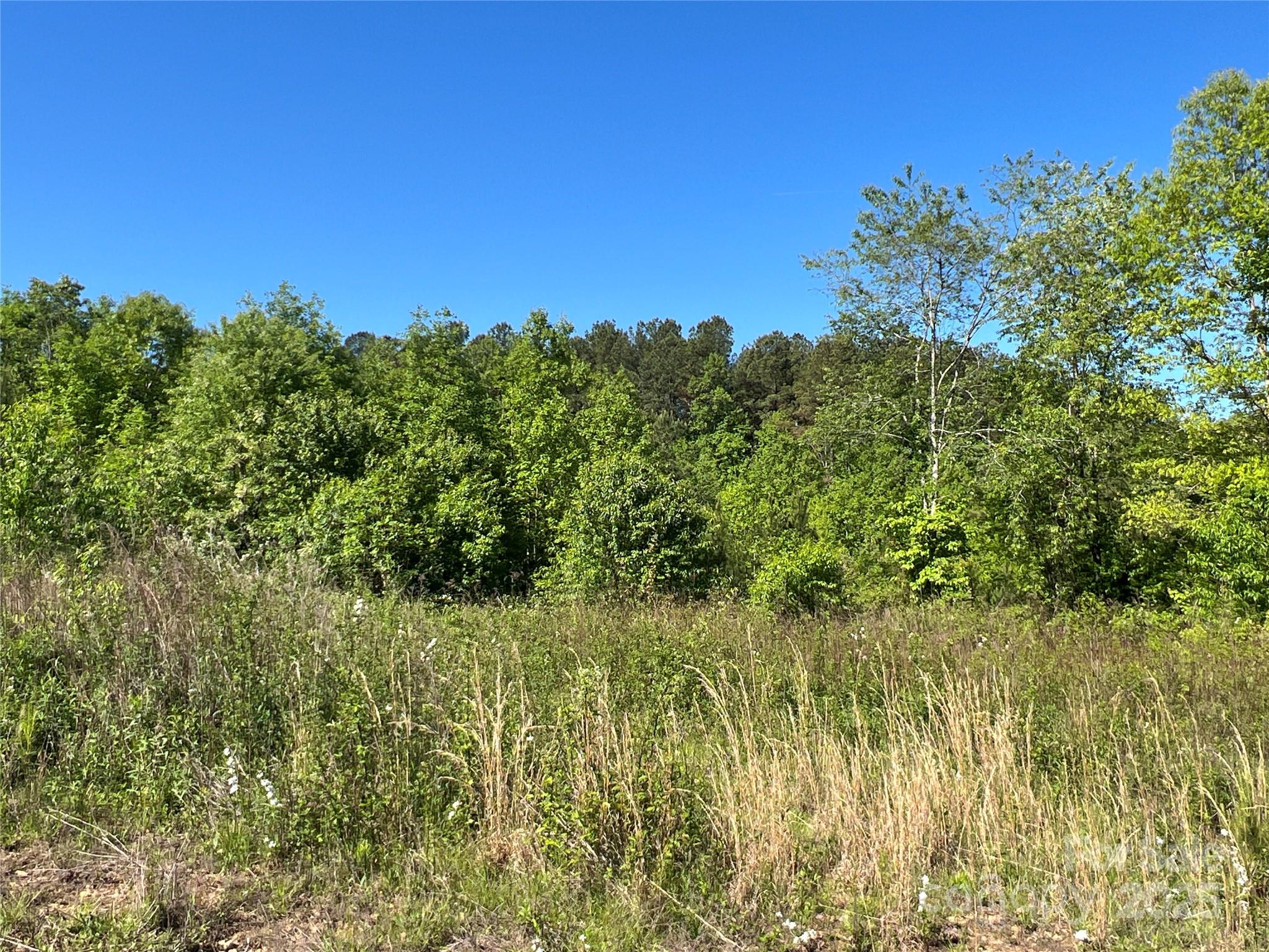 778 Walker Road Nebo, NC 28761 - Photo 10 of 44 Gallery Image 10