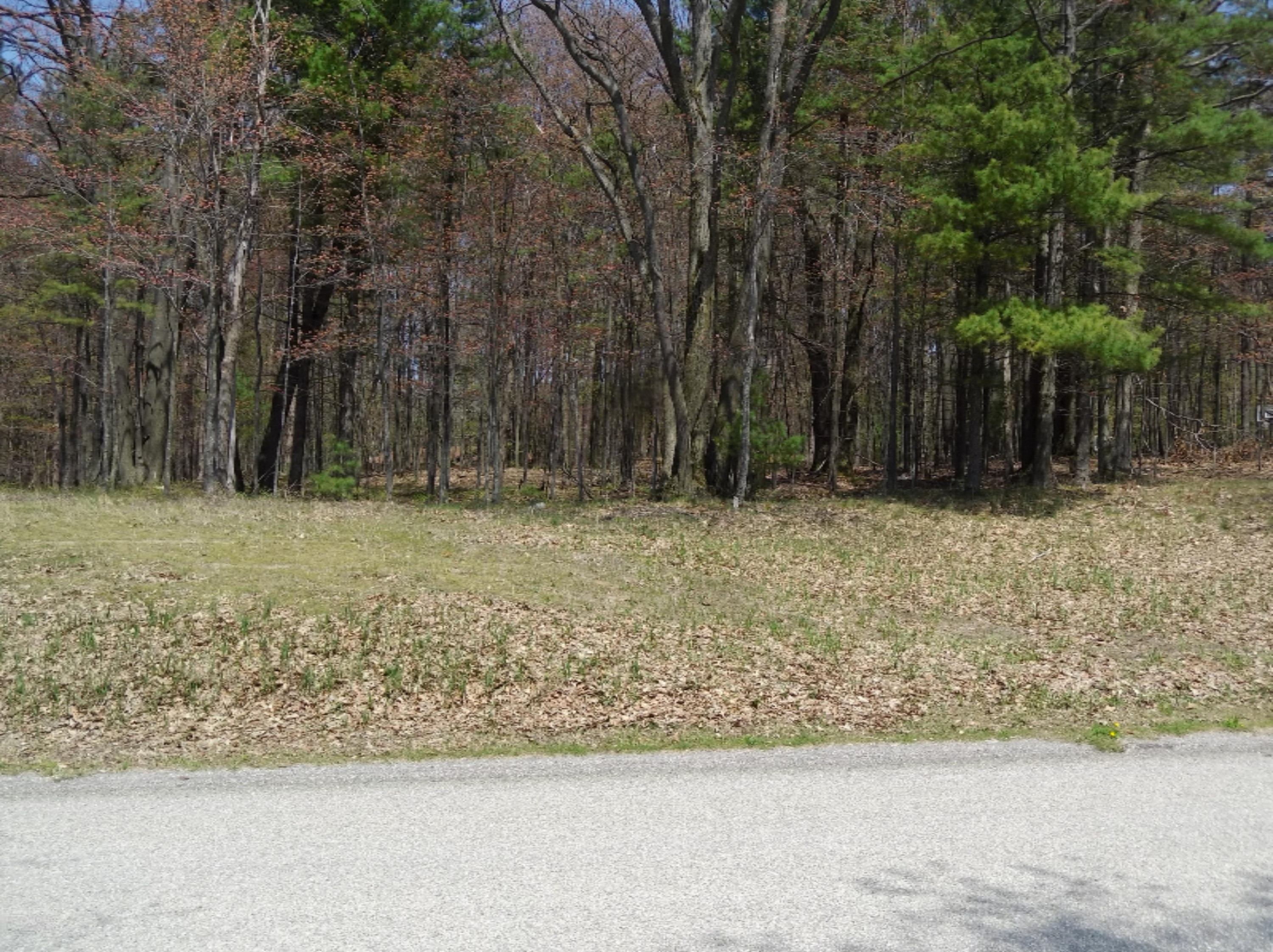 Lot 2 West Oak Ridge Road Ludington, MI 49431 - Photo 1 of 4 IMG_20180515_131947730