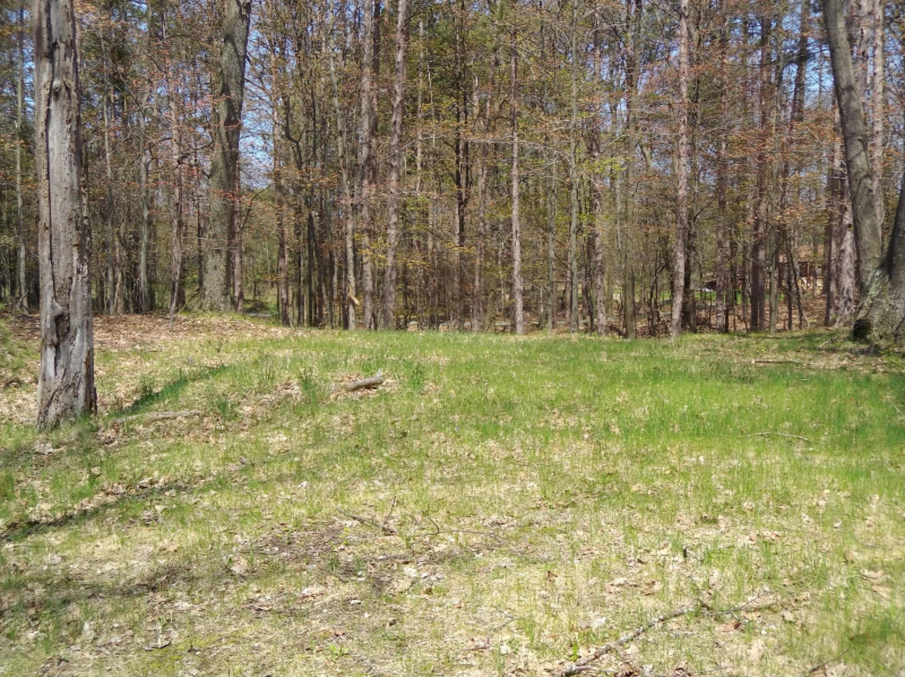 Lot 2 West Oak Ridge Road Ludington, MI 49431 - Photo 2 of 4 IMG_20180515_131858674