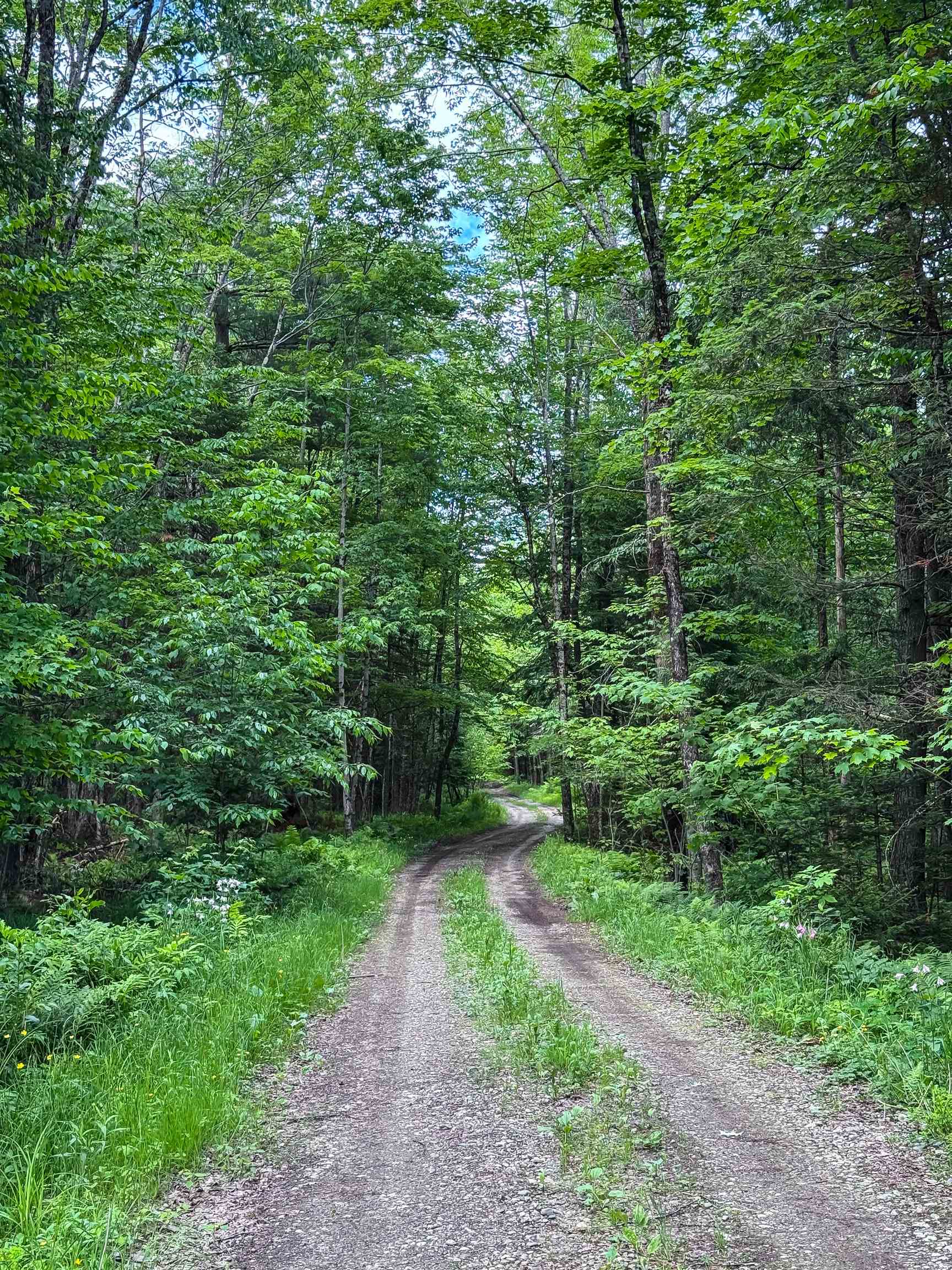 273 Guyette Road Lowell, VT 05847 - Photo 7 of 9