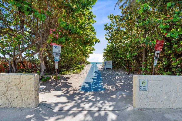 a view of a pathway with a tree