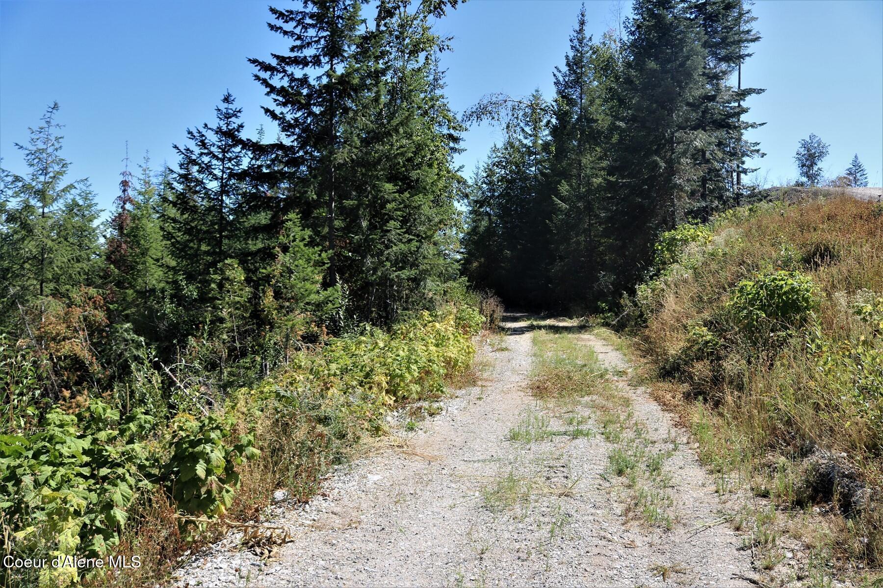 700 Outlook Road Cocolalla, ID 83813 - Photo 16 of 32 Private Driveway