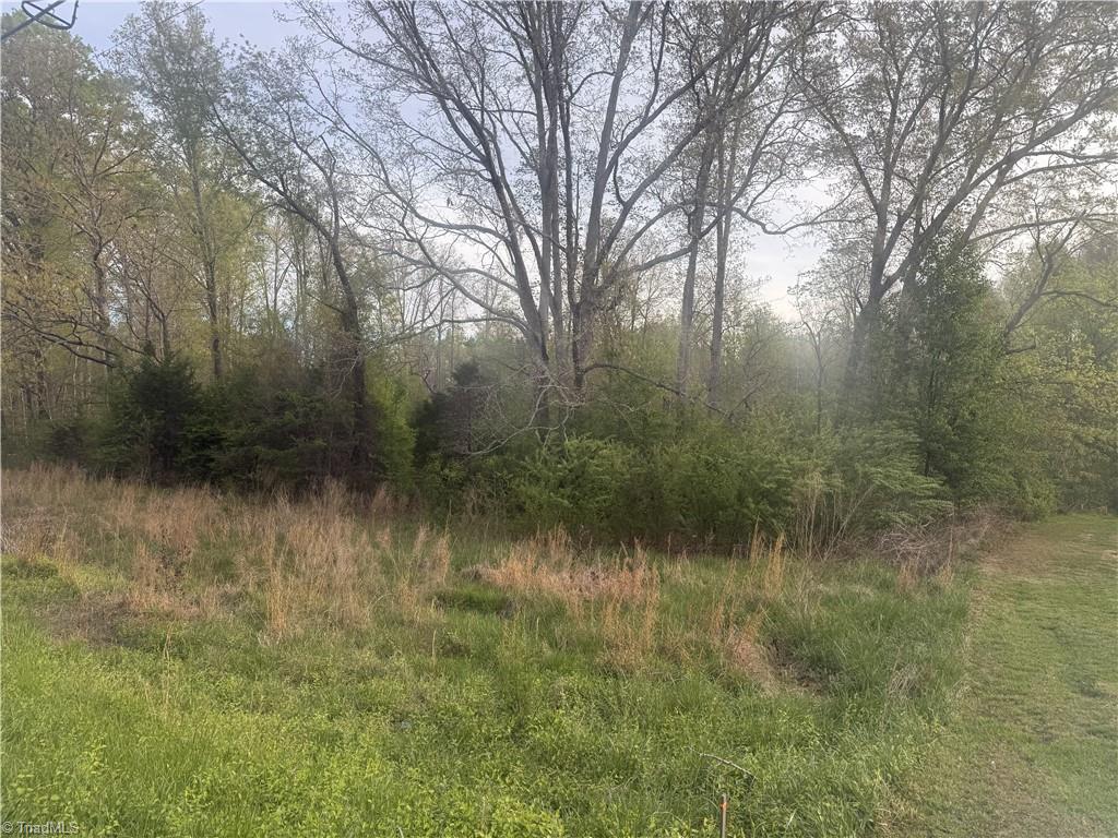 2413 Price Road Eden, NC 27288 - Photo 3 of 7