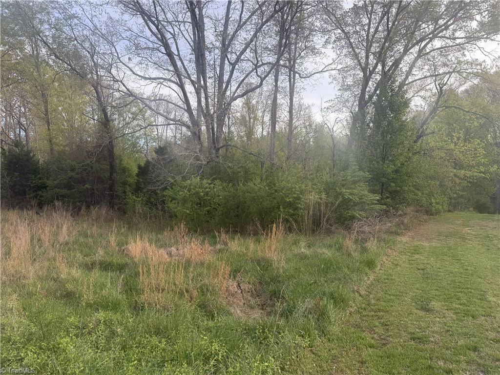 2413 Price Road Eden, NC 27288 - Photo 4 of 7