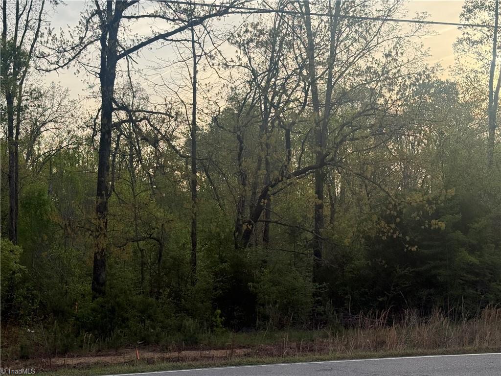 2413 Price Road Eden, NC 27288 - Photo 5 of 7