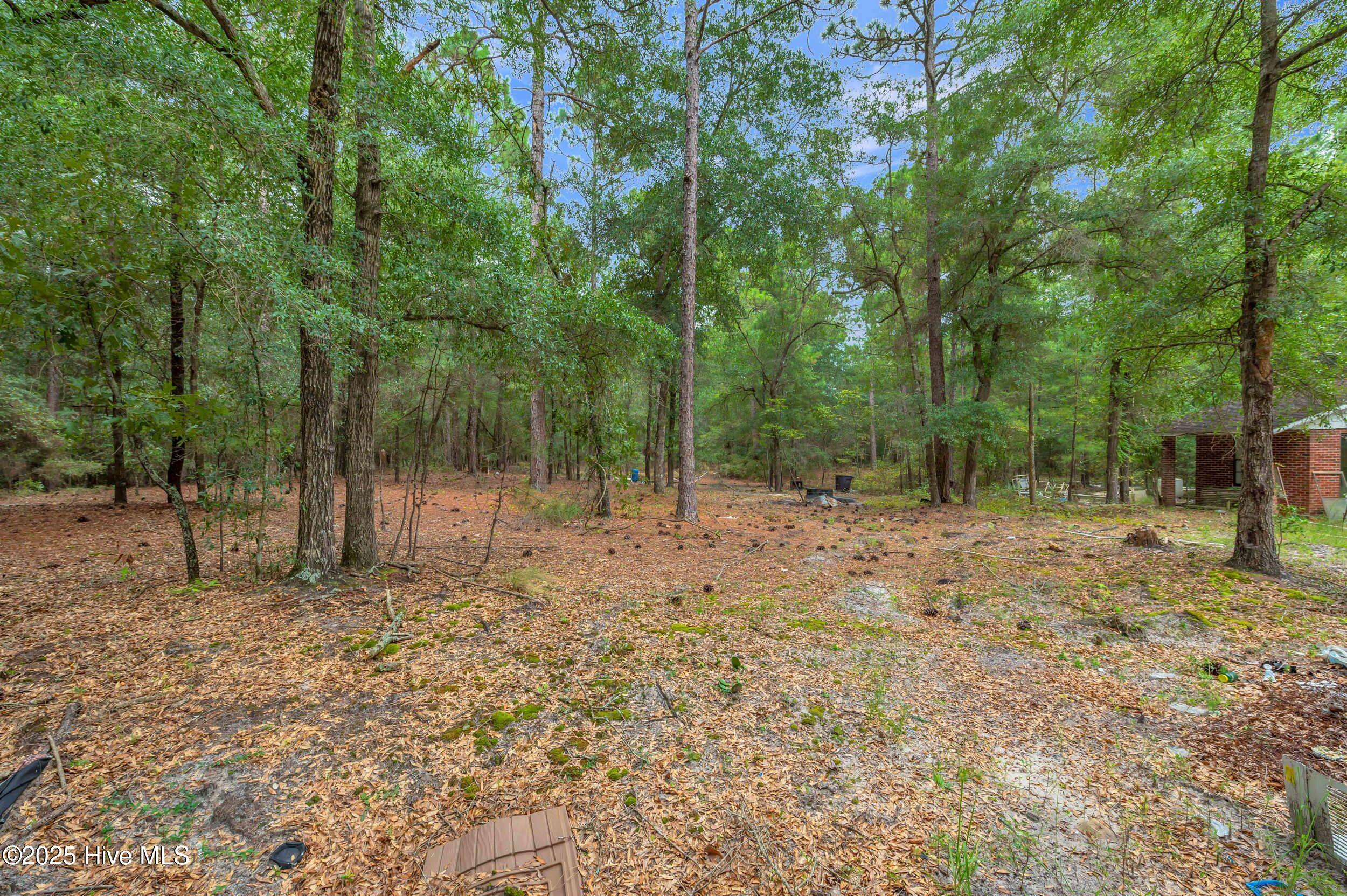 6715 Canetuck Road Currie, NC 28435 - Photo 18 of 74 6715canetuckrd_00027