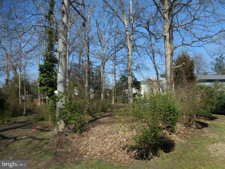 Potomac Road Edgewater, MD 21037 - Photo 3 of 5