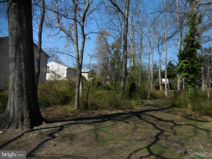 Potomac Road Edgewater, MD 21037 - Photo 4 of 5