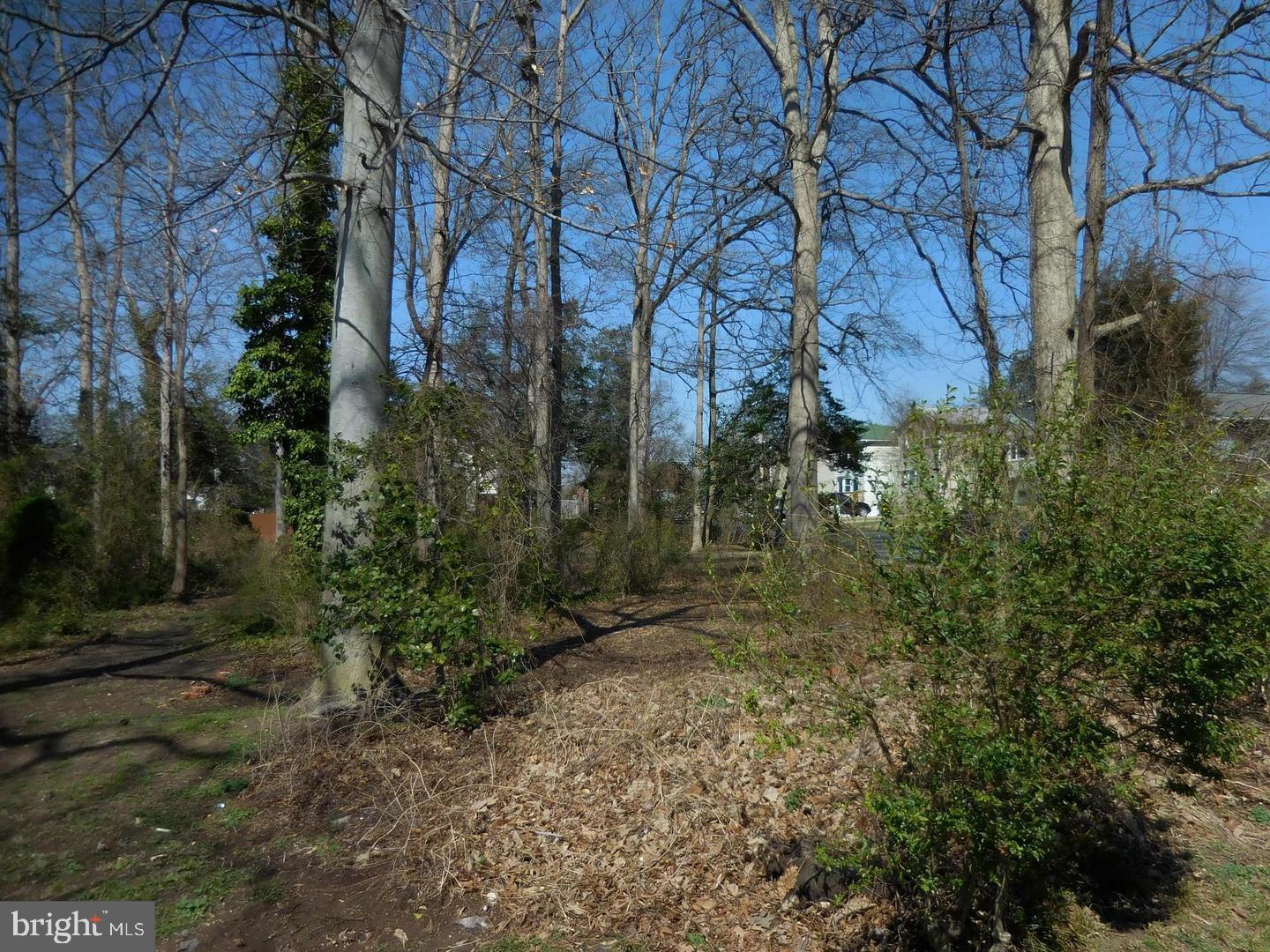 Potomac Road Edgewater, MD 21037 - Photo 5 of 5