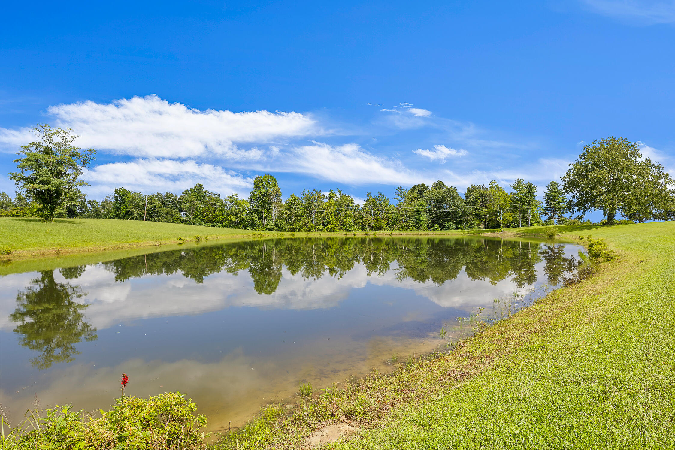 557 Meadow Lark Road Dunlap, TN 37327 - Photo 76 of 79 Meadow-77
