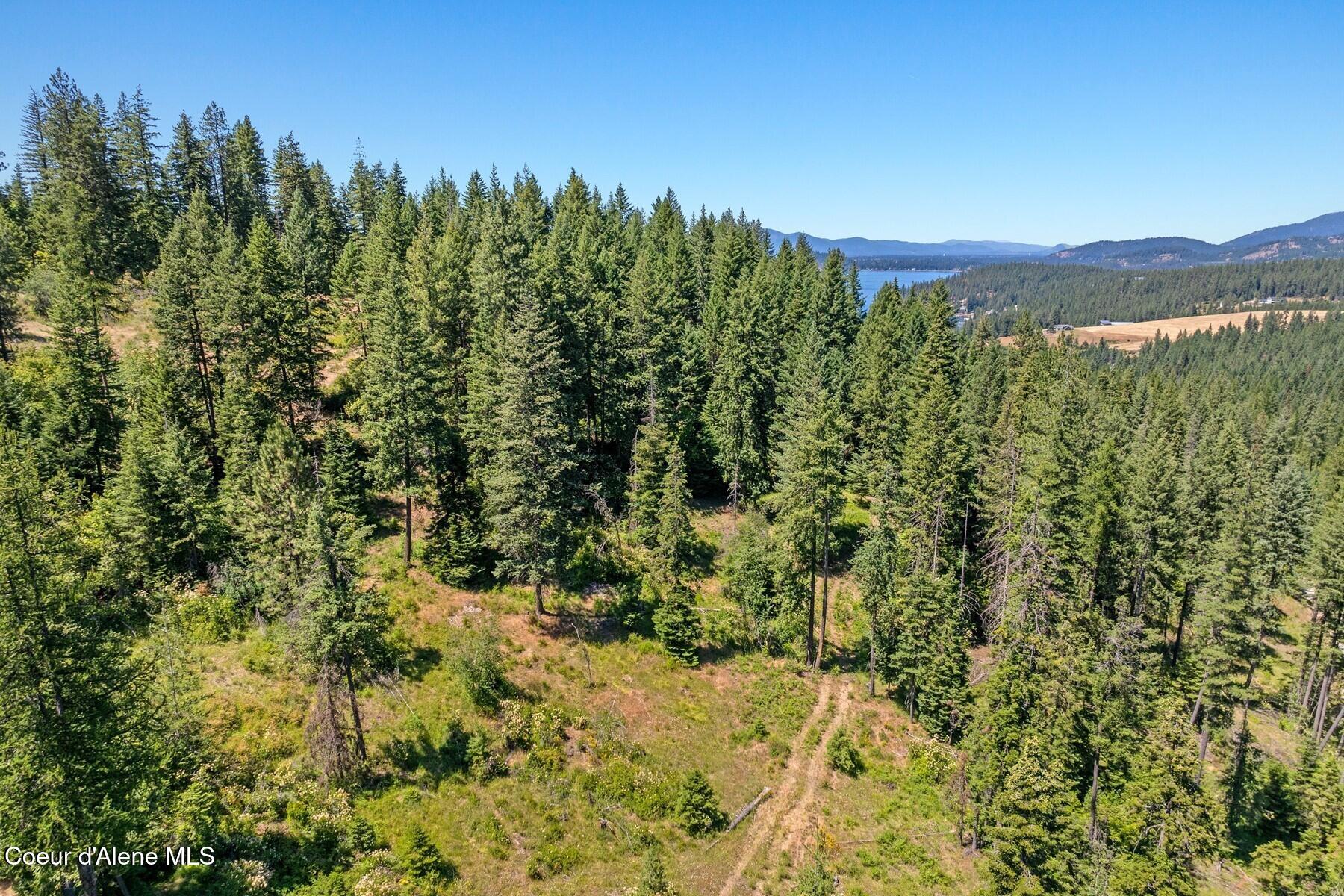 4456 East Eagles Mere Road Harrison, ID 83833 - Photo 57 of 64 _Peek of Lake at top of property