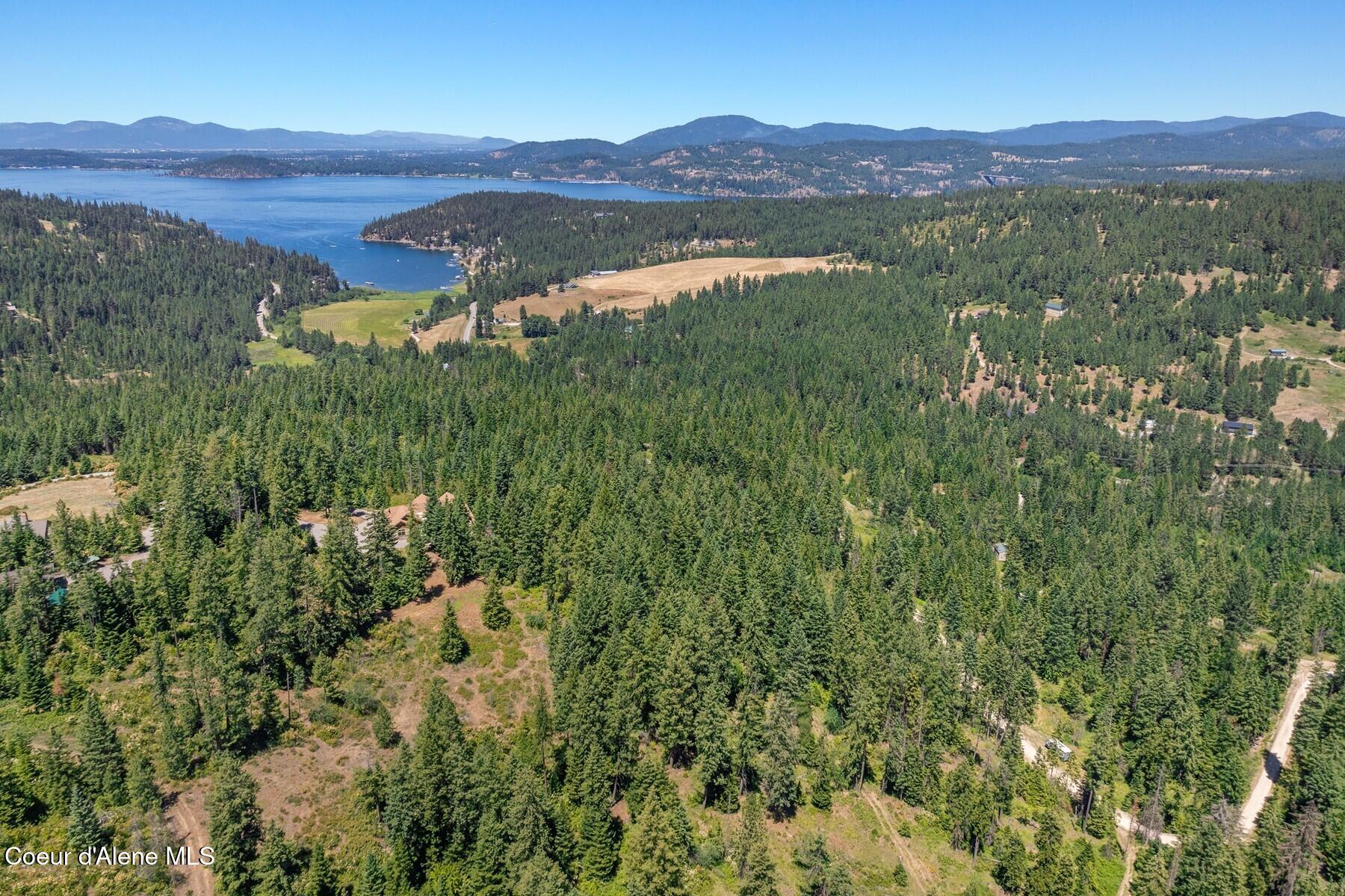 4456 East Eagles Mere Road Harrison, ID 83833 - Photo 58 of 64 Aerial_4456EaglesMereRd13