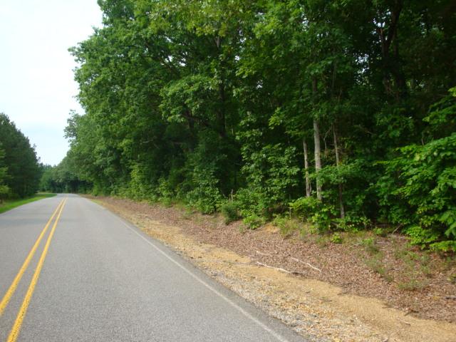 2 Salem Minor Hill Road Lester, AL 35647 - Photo 3 of 3