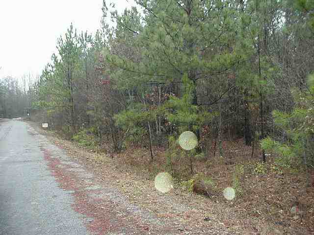 Lot 3 James Mattison Road Liberty, SC 29657 - Photo 1 of 1
