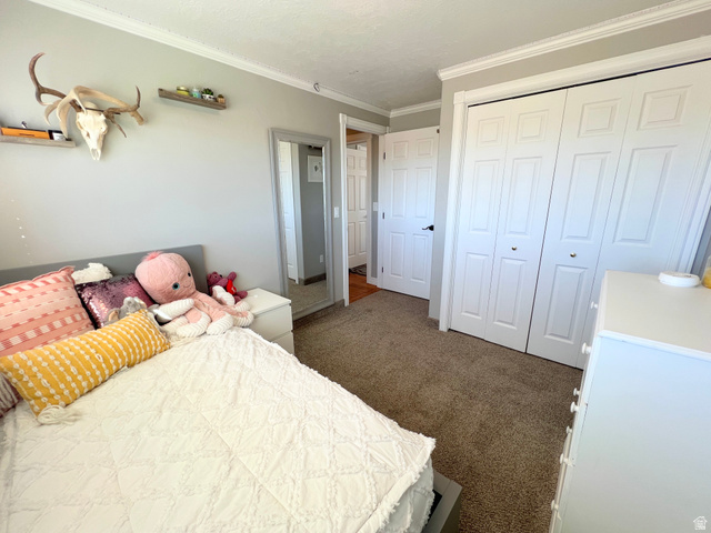 1852 East 3500th Street South Vernal, UT 84078 - Photo 25 of 46 Bedroom with dark carpet, ornamental molding, and a closet