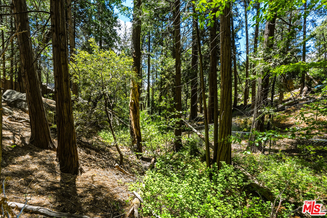 55000 Daryll Road Idyllwild, CA 92549 - Photo 58 of 60
