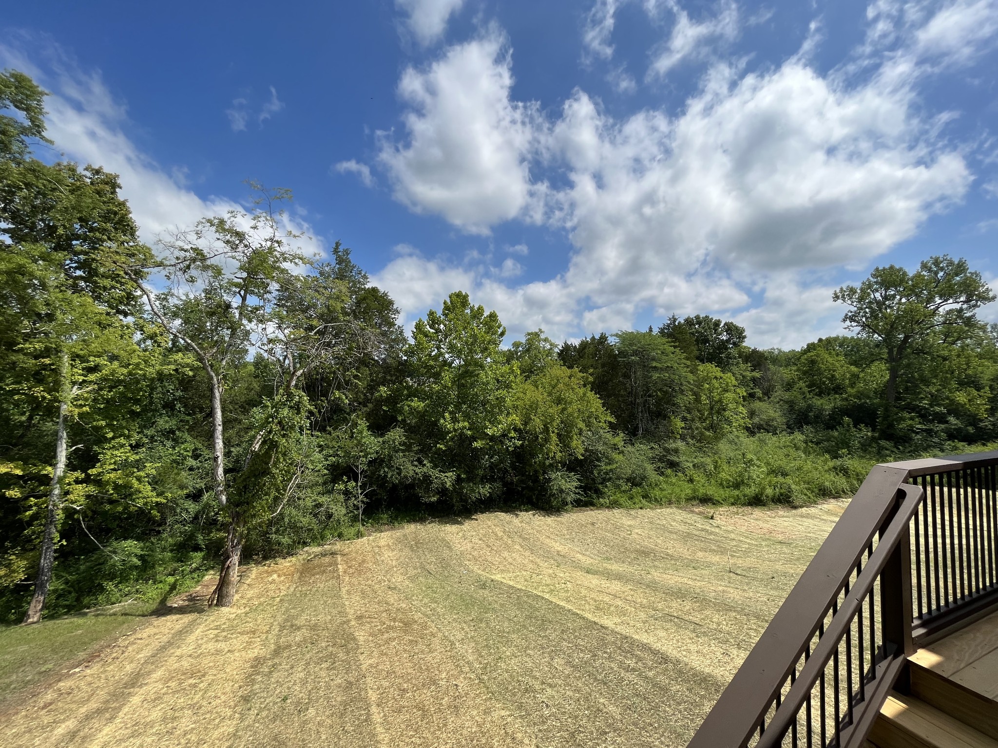 813 Ridgestone Place, Unit 99 Lebanon, TN 37087 - Photo 23 of 24 a view of balcony and yard
