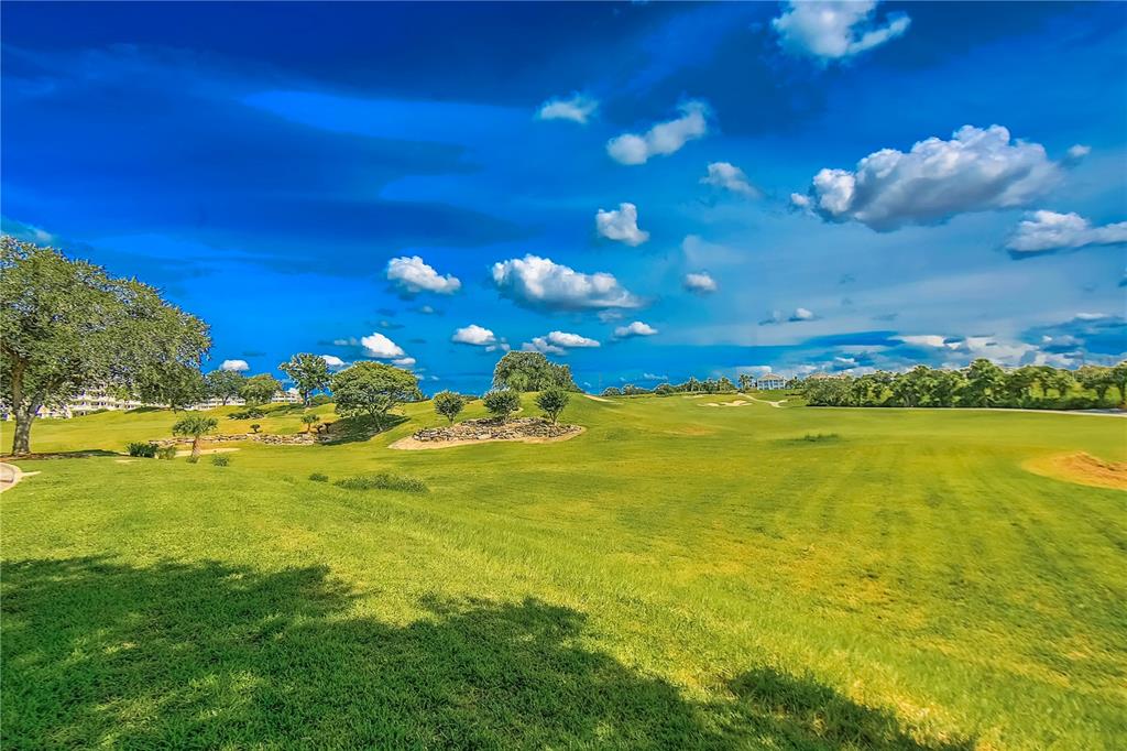 7728 Linkside Loop Reunion, FL 34747 - Photo 73 of 84