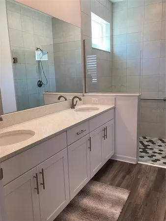 a bathroom with a sink and a mirror