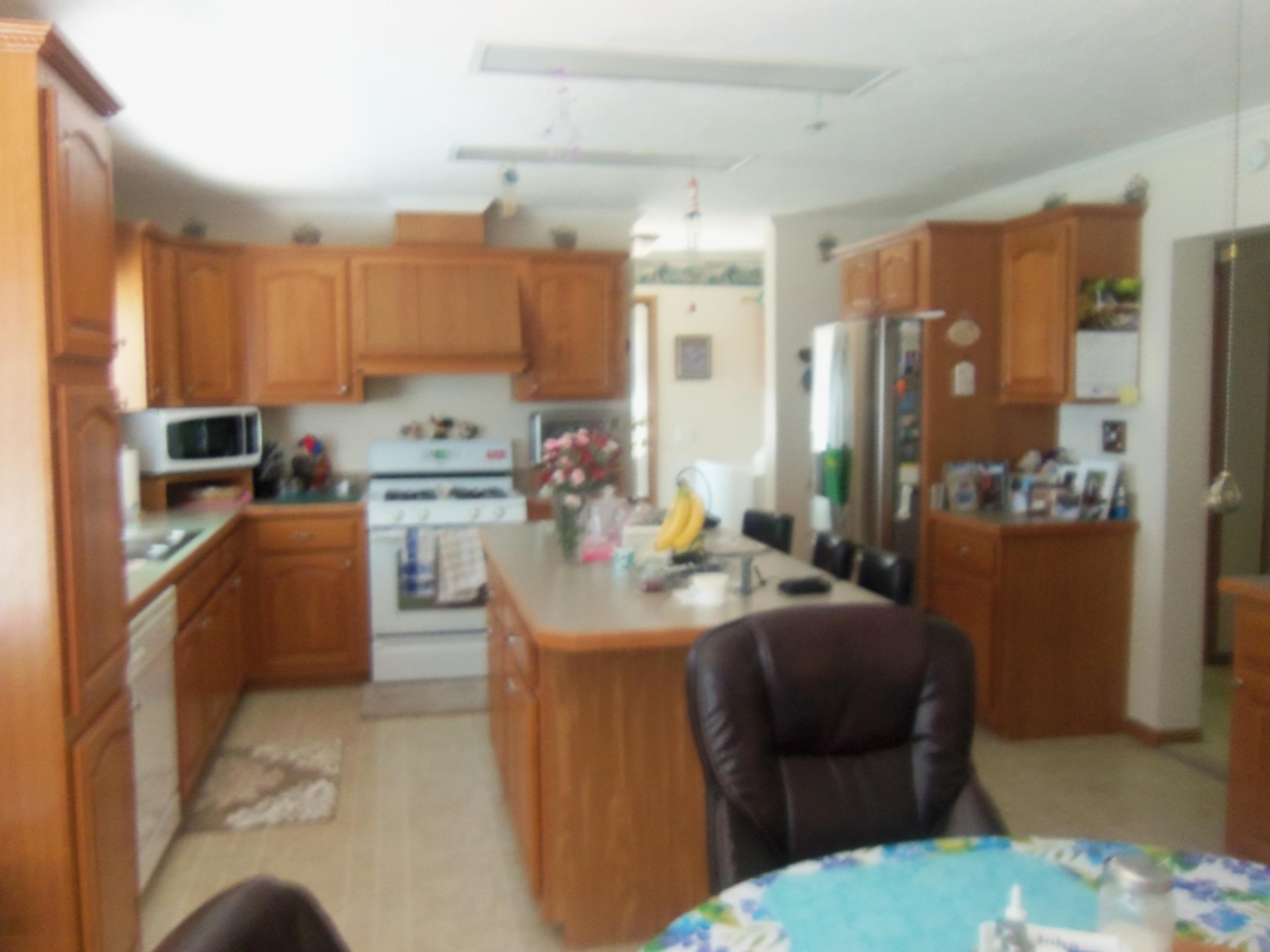 4831 South Frank Smith Road Chase, MI 49623 - Photo 13 of 30 100_2026