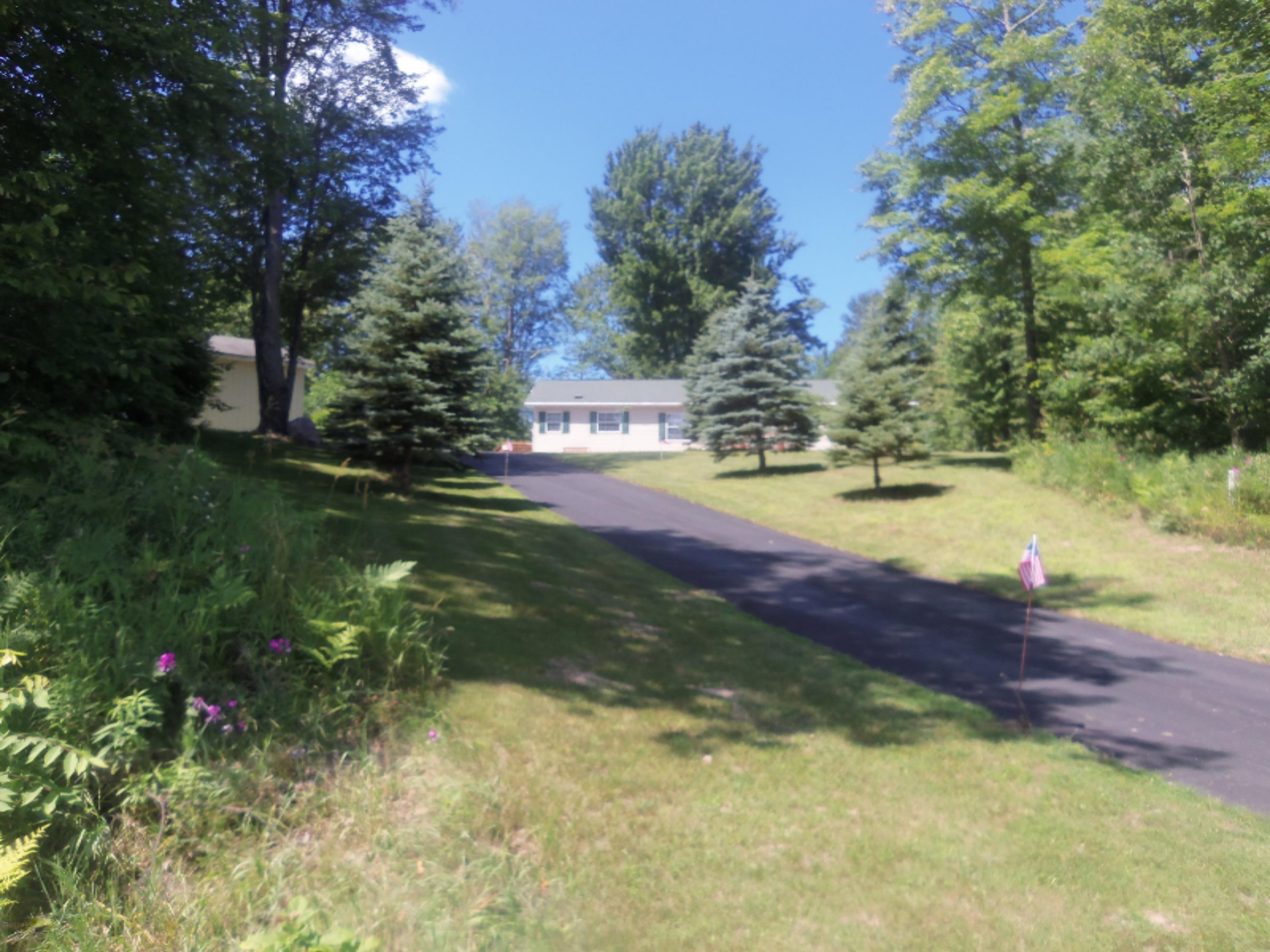 4831 South Frank Smith Road Chase, MI 49623 - Photo 2 of 30 100_2013