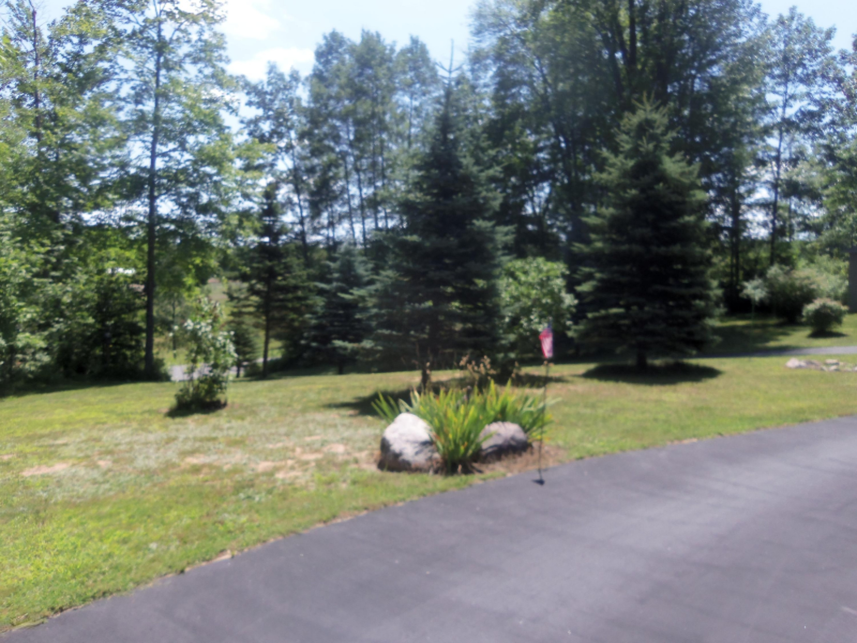 4831 South Frank Smith Road Chase, MI 49623 - Photo 5 of 30 100_2017