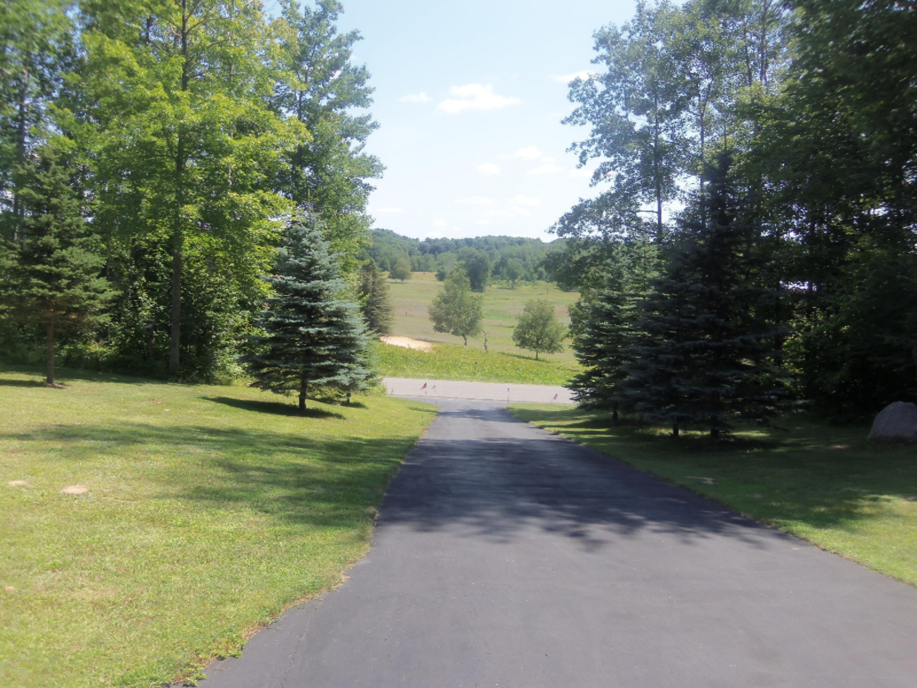 4831 South Frank Smith Road Chase, MI 49623 - Photo 7 of 30 100_2019