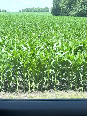 $415,000 | 11365 Platt Avenue Southwest, Cokato, MN 55321