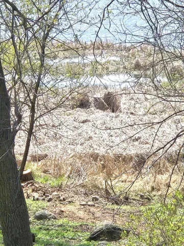 $415,000 | 11365 Platt Avenue Southwest, Cokato, MN 55321