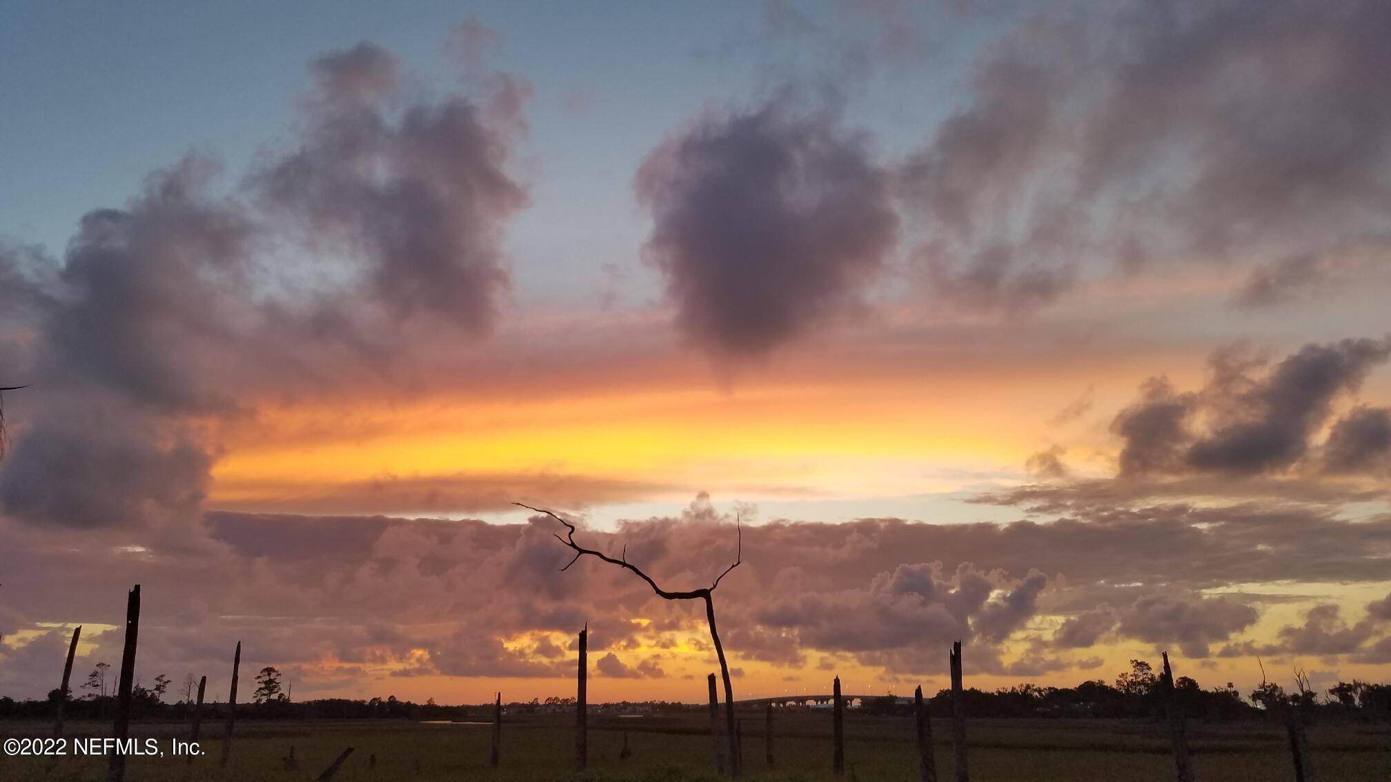 1773 Marshside Drive Jacksonville Beach, FL 32250 - Photo 16 of 66 Beauty of Nature