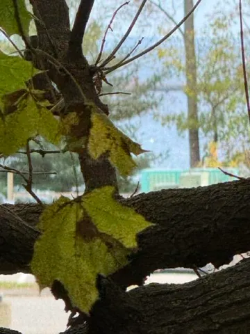 $30,000 | 10 Camden St Terrace, Rockland, ME 04841