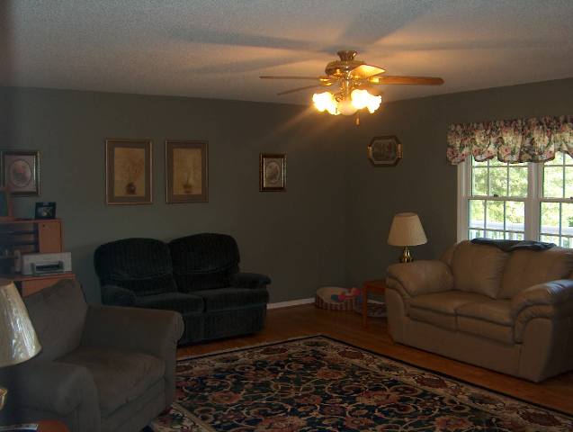 403 Griffin Church Road Pickens, SC 29671 - Photo 4 of 9
