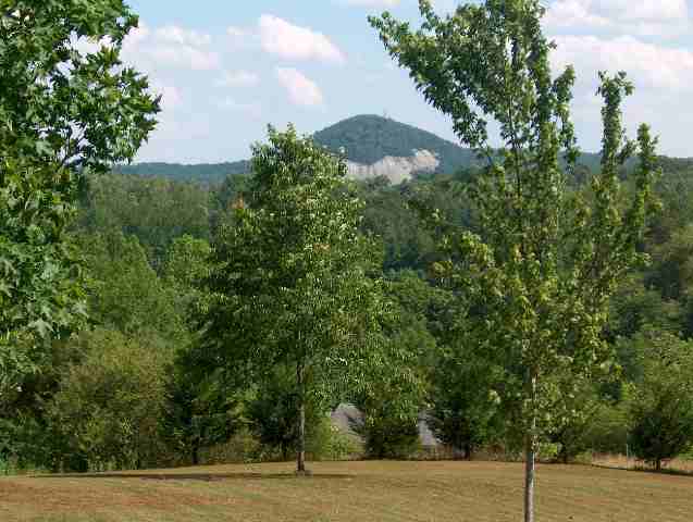 403 Griffin Church Road Pickens, SC 29671 - Photo 6 of 9