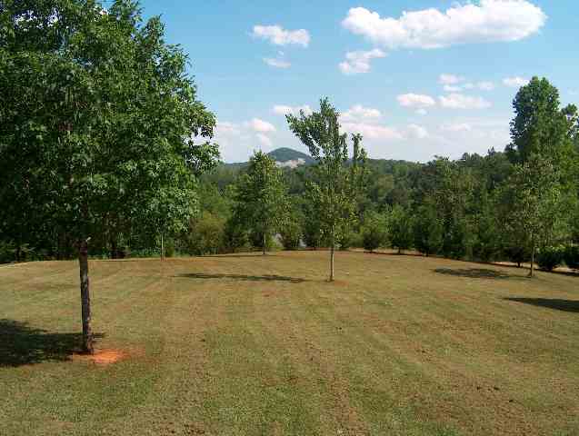 403 Griffin Church Road Pickens, SC 29671 - Photo 7 of 9