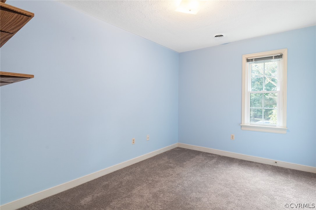 5707 Sandstone Ridge Terrace Midlothian, VA 23112 - Photo 29 of 49