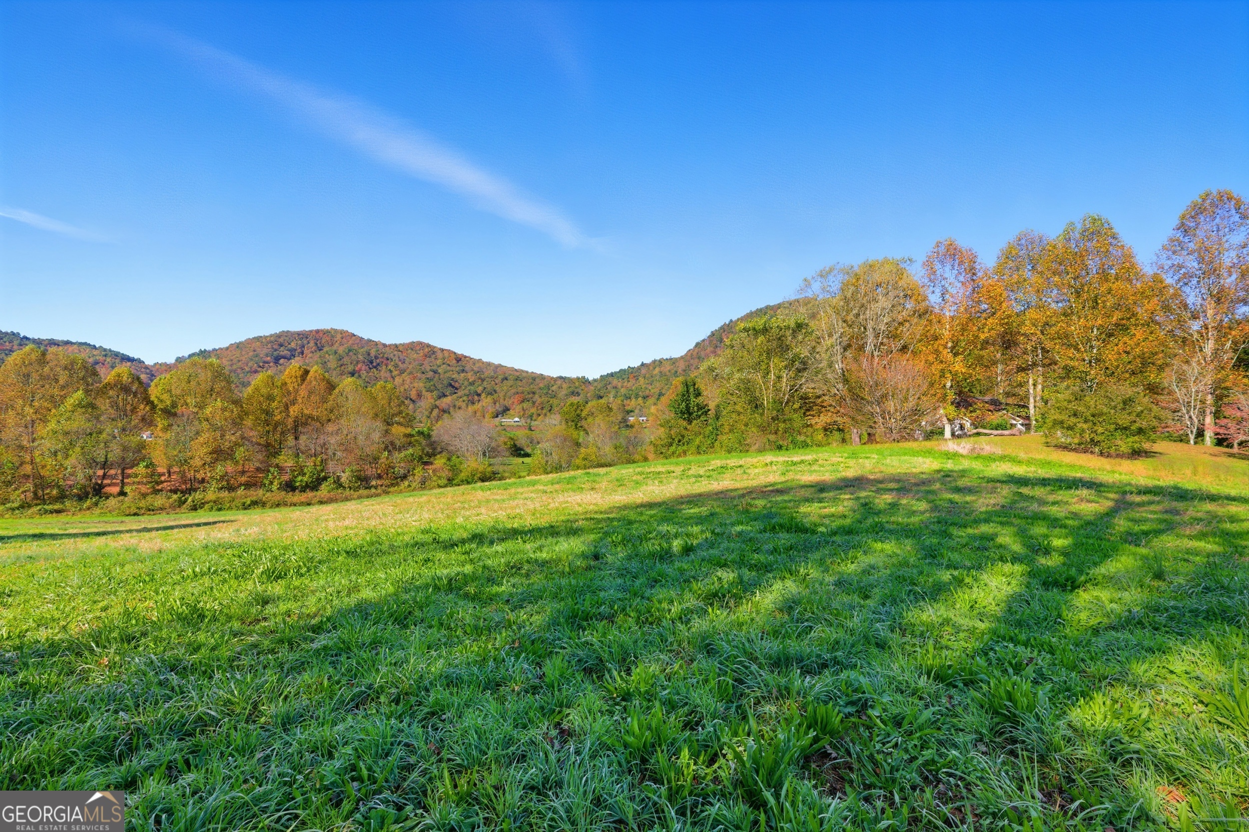 230 Majors Lane Rabun Gap, GA 30568 - Photo 6 of 54