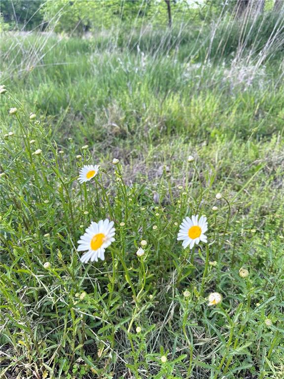 34664 Spring Valley Road Paola, KS 66071 - Photo 5 of 8