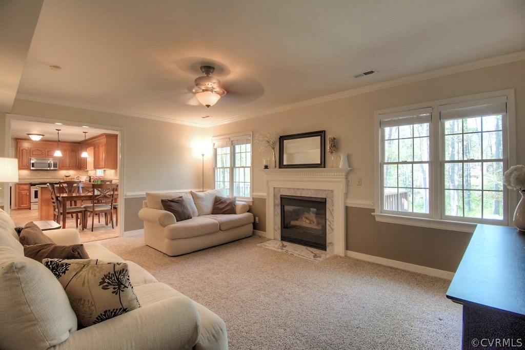 14108 Huntgate Woods Road Midlothian, VA 23112 - Photo 23 of 48 Gallery Image 23
