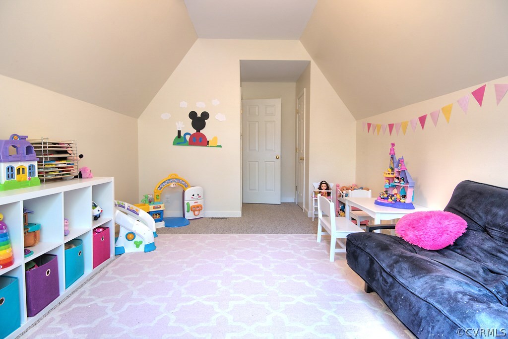 14108 Huntgate Woods Road Midlothian, VA 23112 - Photo 28 of 48 Gallery Image 28