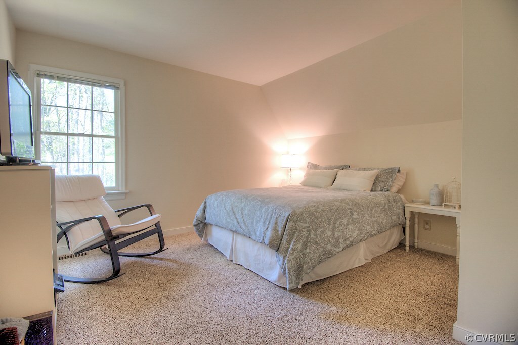 14108 Huntgate Woods Road Midlothian, VA 23112 - Photo 29 of 48 Gallery Image 29